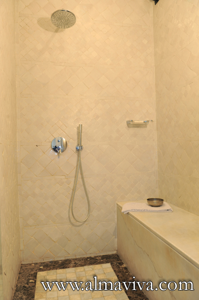 Shower with plain white zellige 5x5 cm (about 2x2'')