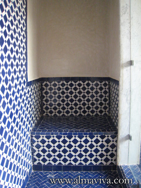 Shower with seat, white and blue
